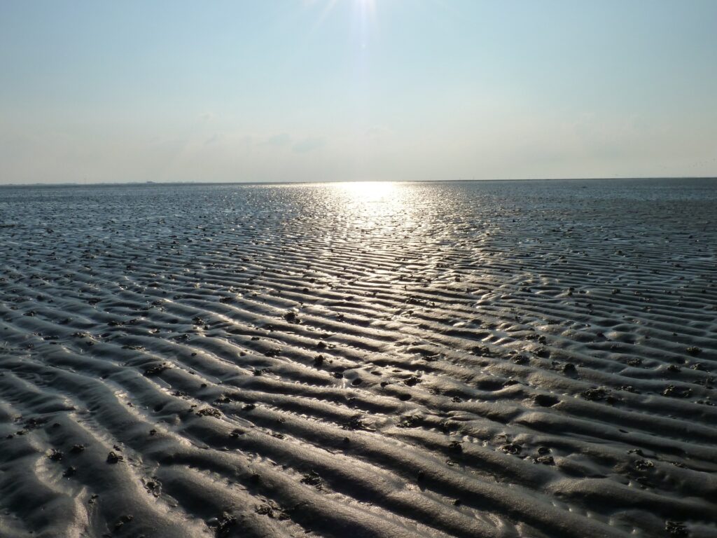 Sylter Wattenmeer