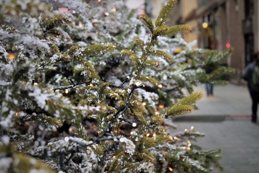 Weihnachten auf Sylt. Nahaufnahme von einem Schnebedeckten Weihnachtsbaum mit Lichterketten.