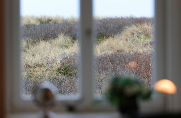 Blick aus Ferienwohnung Hörnum