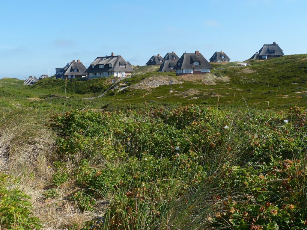 Häuser zwischen grünen Dünen.