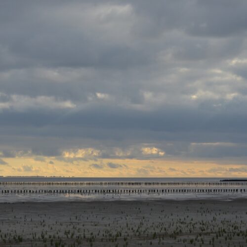 Nordseeküste, bewölkt zur Abendsonne