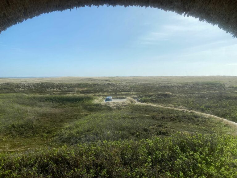 Blick aus Ferienwohnung Hörnum