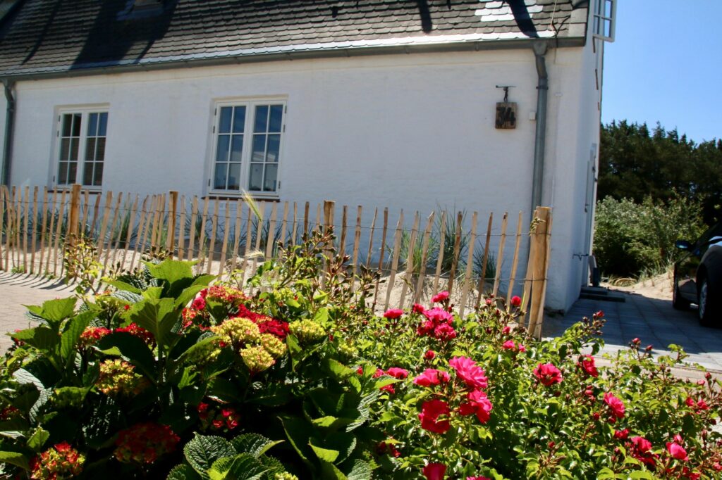 Blumen im Vorhof von Ferienhaus Hörnum