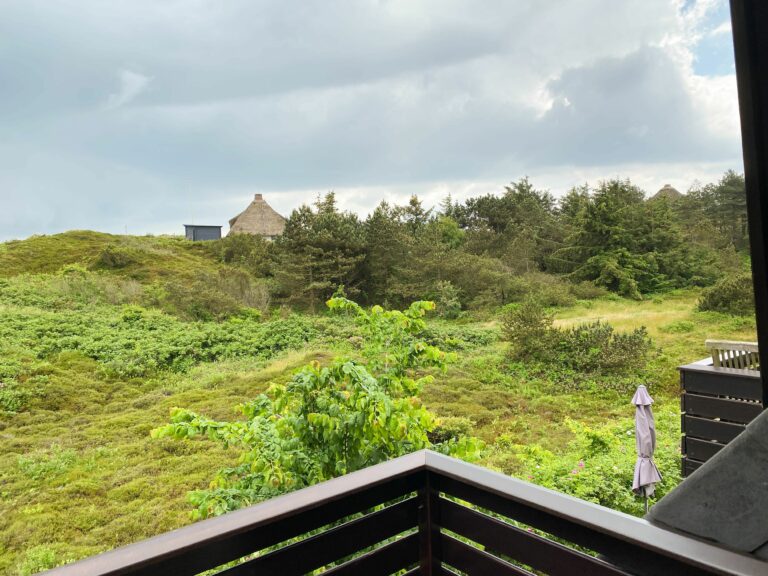 Blick vom Balkon auf die grüne Landschaft auf Sylt in Ferienwohnung Hörnum