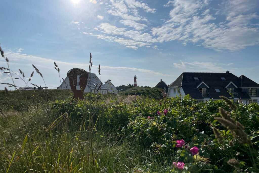 Landschaft mit Pflanzen in Hörnum