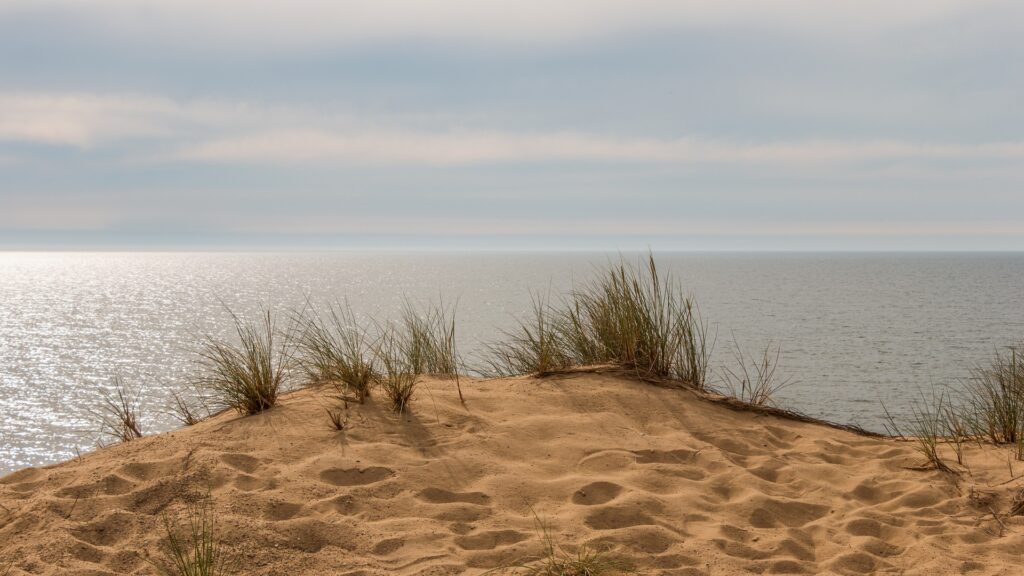 Dünen auf Sylt