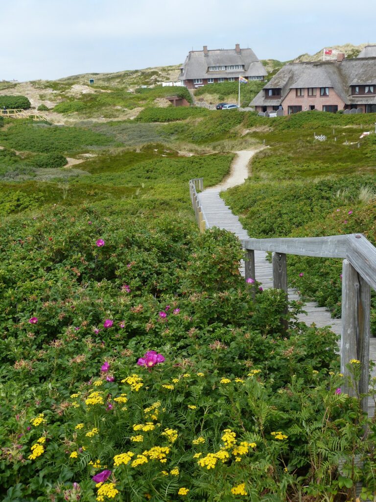 Fußweg durch die Natur zu einer Ferienwohnung auf Sylt