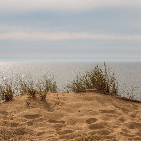 Dünen auf Sylt