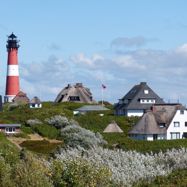 Reetdachhäuser und Leuchtturm in Hörnum auf Sylt. Blauer Himmel im Hintergrund und grüne Wiesen vor den Häusern.