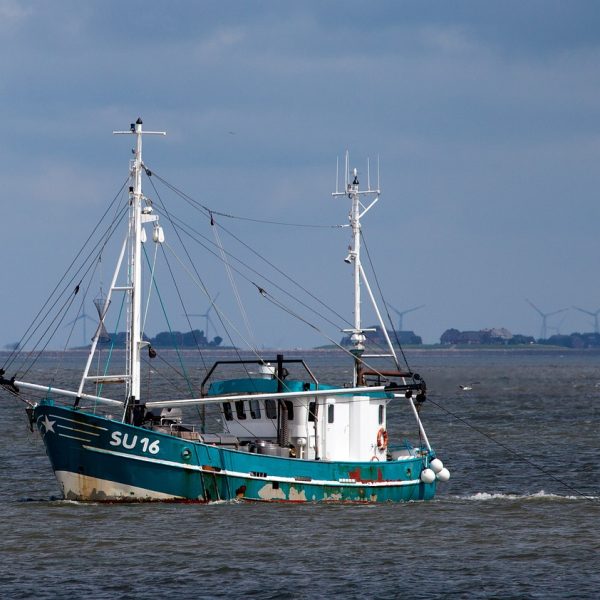 Ein Fischkutter im Meer. Im Hintergrund ein stück Land mit Windkrafträder.